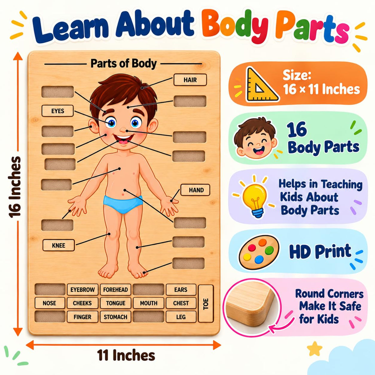 Zesta Body Parts Wooden Matching Puzzle – 16 Labels – image 5