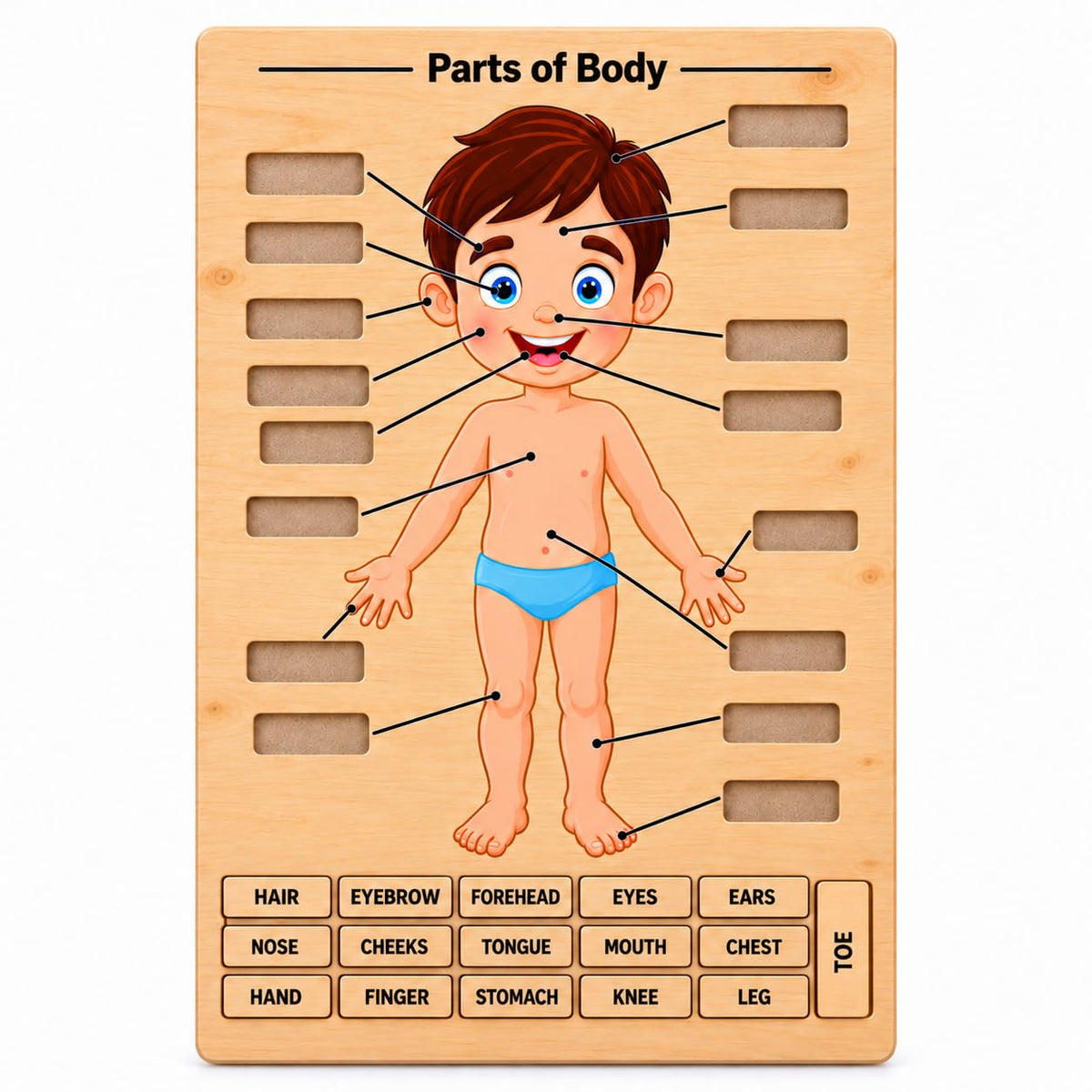 Zesta Body Parts Wooden Matching Puzzle – 16 Labels – image 2