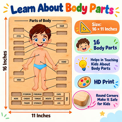 Zesta Body Parts Wooden Matching Puzzle – 16 Labels – image 5